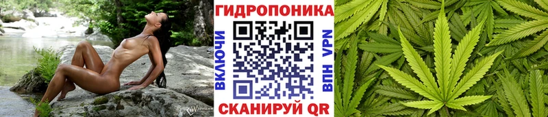 Купить наркотики Лосино-Петровский Бошки Шишки  МЕФ  АМФЕТАМИН  Гашиш  Alpha-PVP 