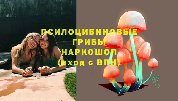 гашик Баксан