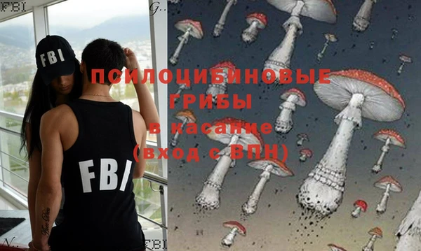 гашик Баксан