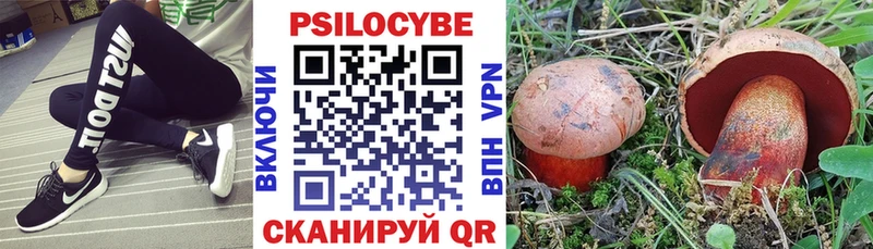 Галлюциногенные грибы Cubensis Лосино-Петровский